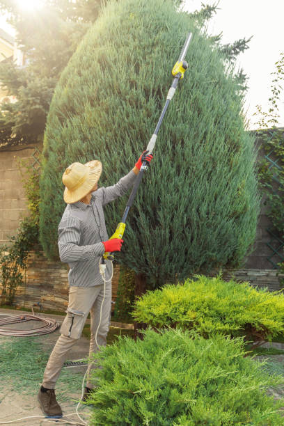 Lawn Irrigation Installation and Maintenance in San Carlos, CA